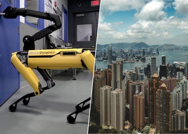 Hong Kong afronta una enorme crisis de salud pública por el virus chikungunya. Su solución: un ejército de perros robot